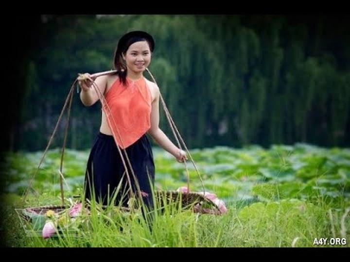 Xu hướng Các nhà khoa học phân tích: Hotspot Matrix tiết lộ bí quyết video viral