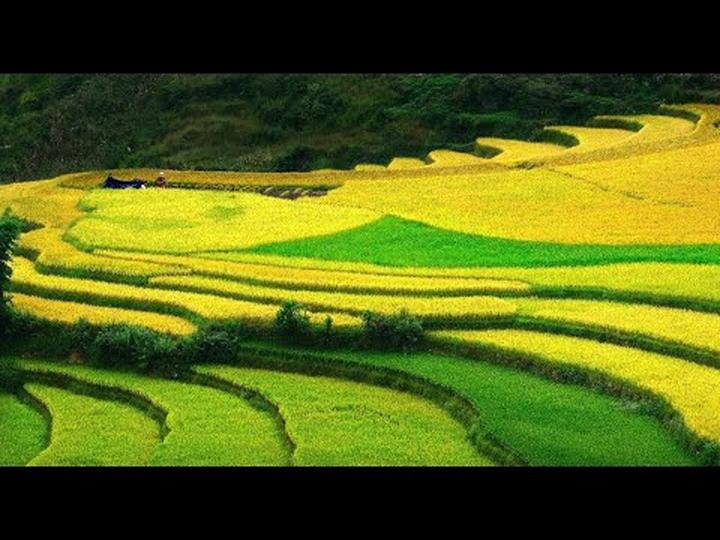 Chuyên gia Hotspot Matrix phân tích: Quẹt thẻ cực chất, chạm ngay và marketing video