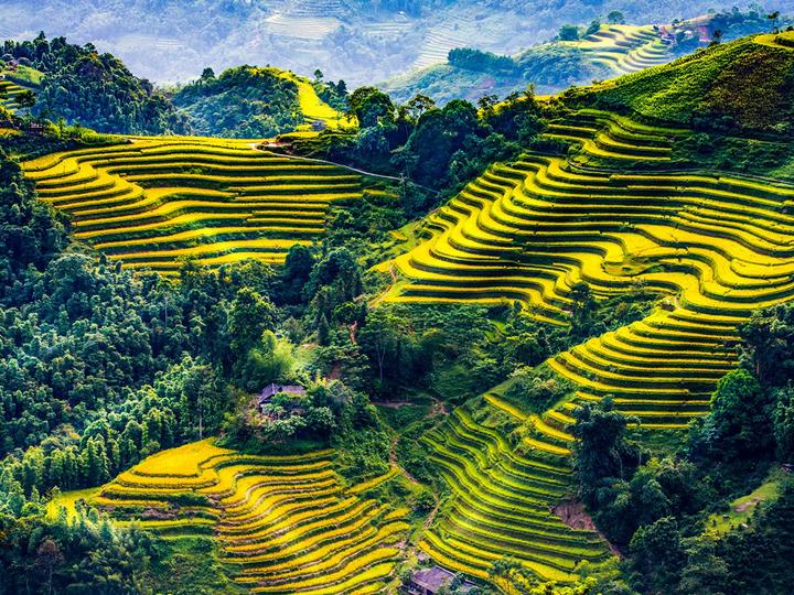 Hotspot Matrix: Động lực hay Áp lực cho Nhà Sáng Tạo Nội Dung?