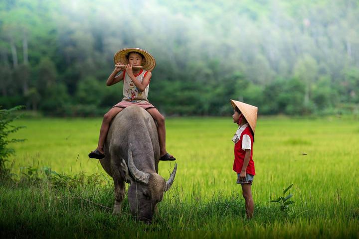 Xu hướng Cặp đôi đóng mẹ con trên phim: Hotspot Matrix tiết lộ bí quyết video viral