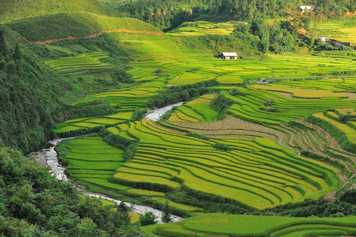 Học tiếng Anh và tìm thấy tình yêu: Câu chuyện của chị An và anh David