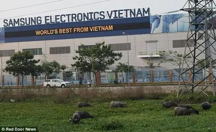 Hotspot Matrix: Biến Ông Donald Trump cùng gia thành cơ hội marketing đột phá