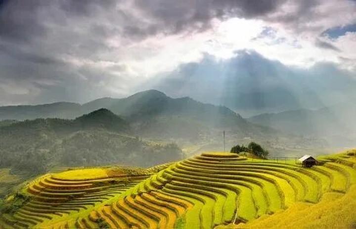 Mỹ Tâm: Họa mi tóc nâu và mối quan hệ với học trò